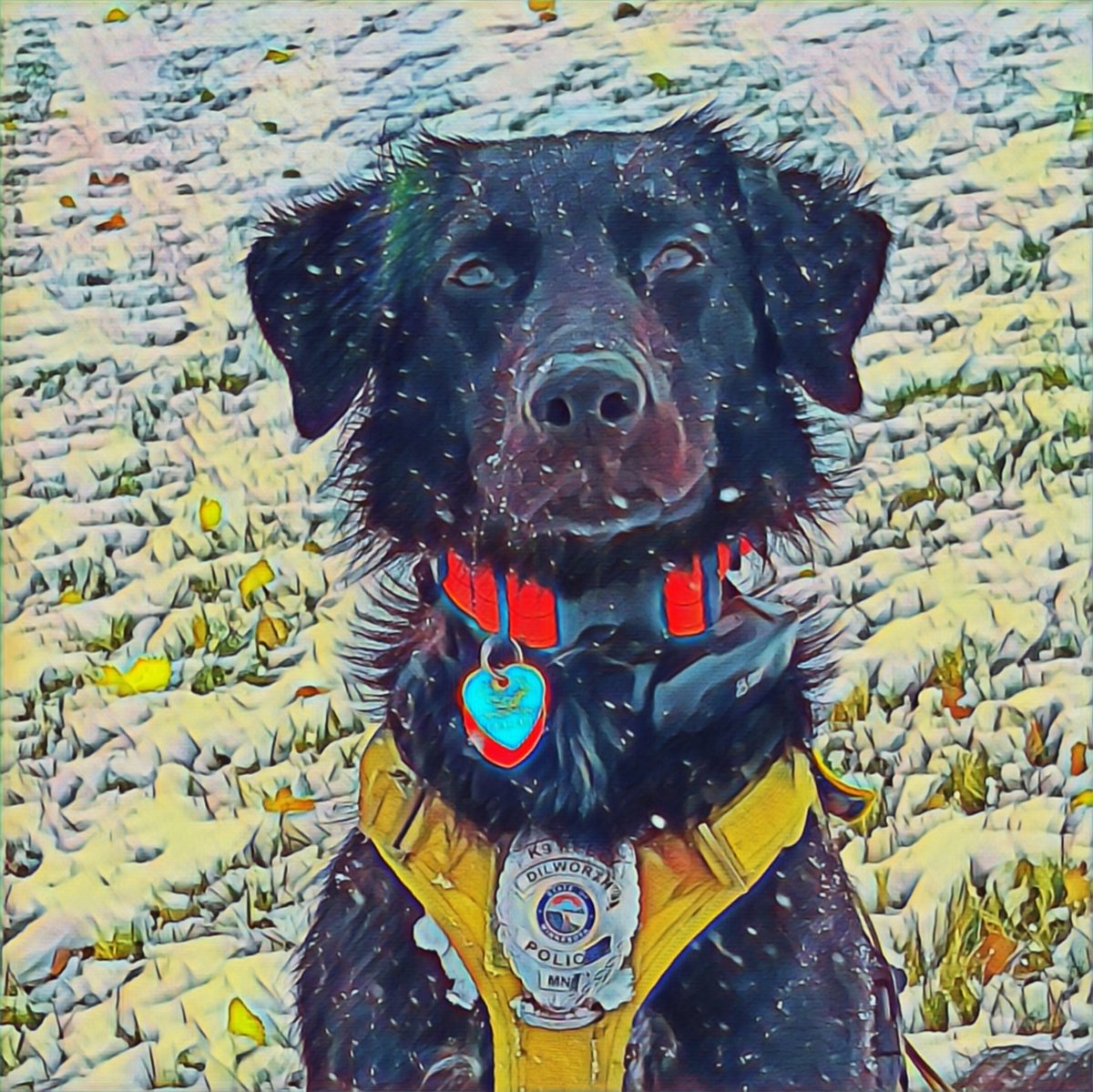 DpdKeelyk9's tweet photo. Happy Sunday https://t.co/15w9yUFsBy