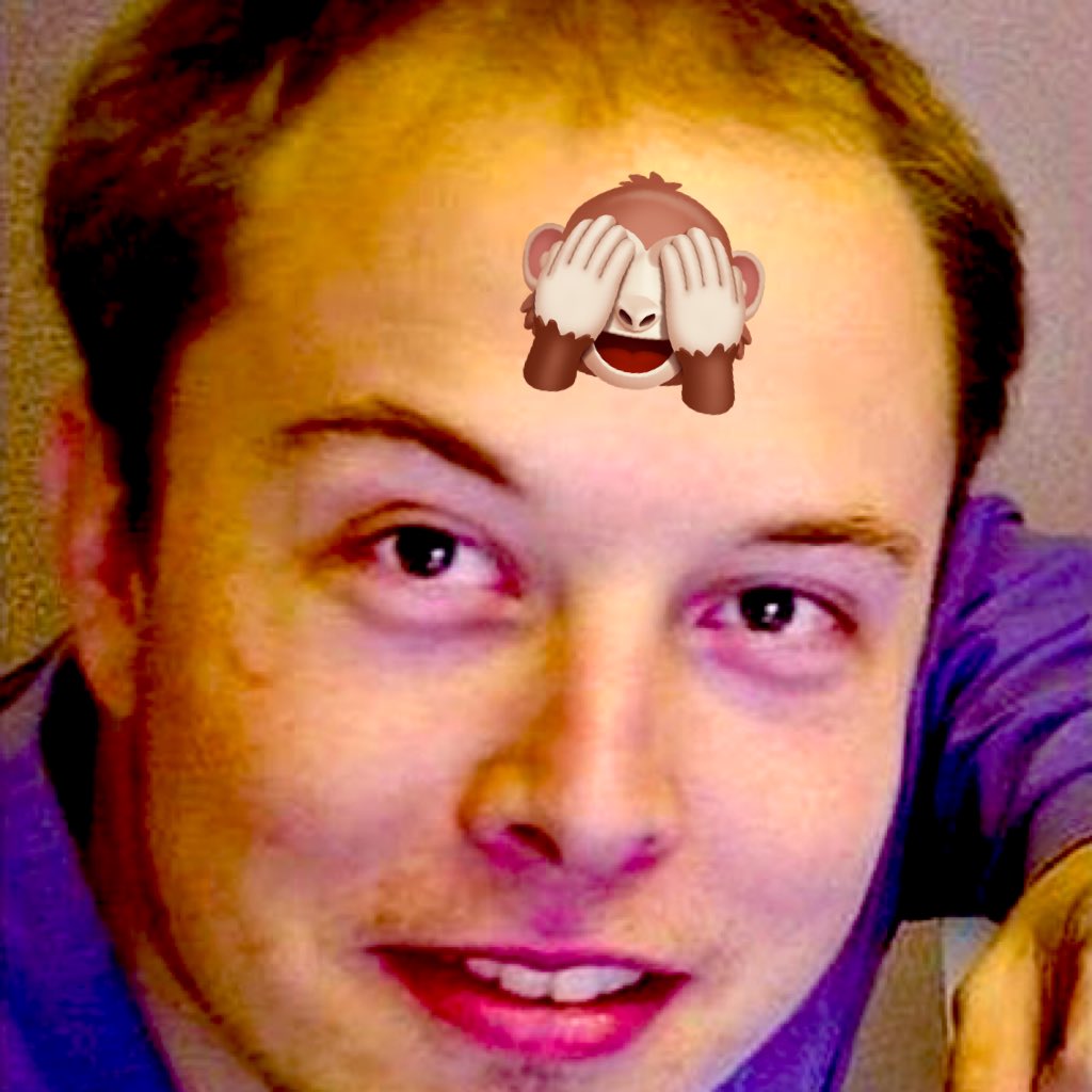 pig_simple's tweet photo. #NewProfilePic https://t.co/liGPb5w39c