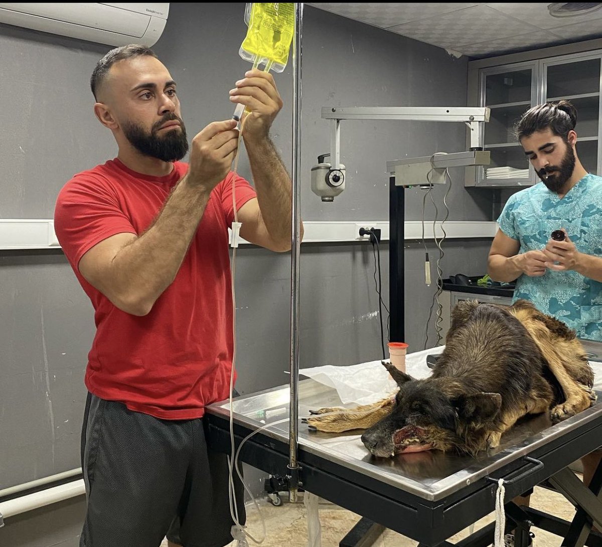 devnazofficial's tweet photo. Sometimes doing your best is not enough… @berk_bayir #devnaz #devpati #devkorp #devteam #thehelpishere #FYP #fypシ #fyptiktok #fypシviral #dog #animals #rescue #dogs #animalsrescue https://t.co/oPT1ULIqlE