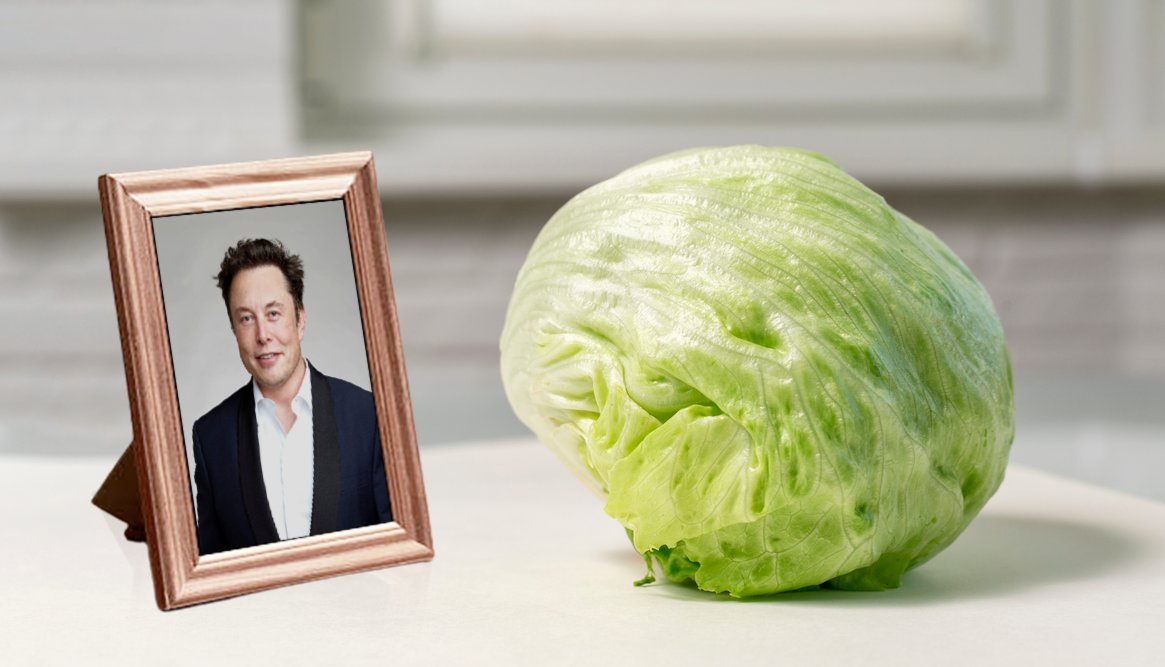 chaser's tweet image. Let the countdown begin