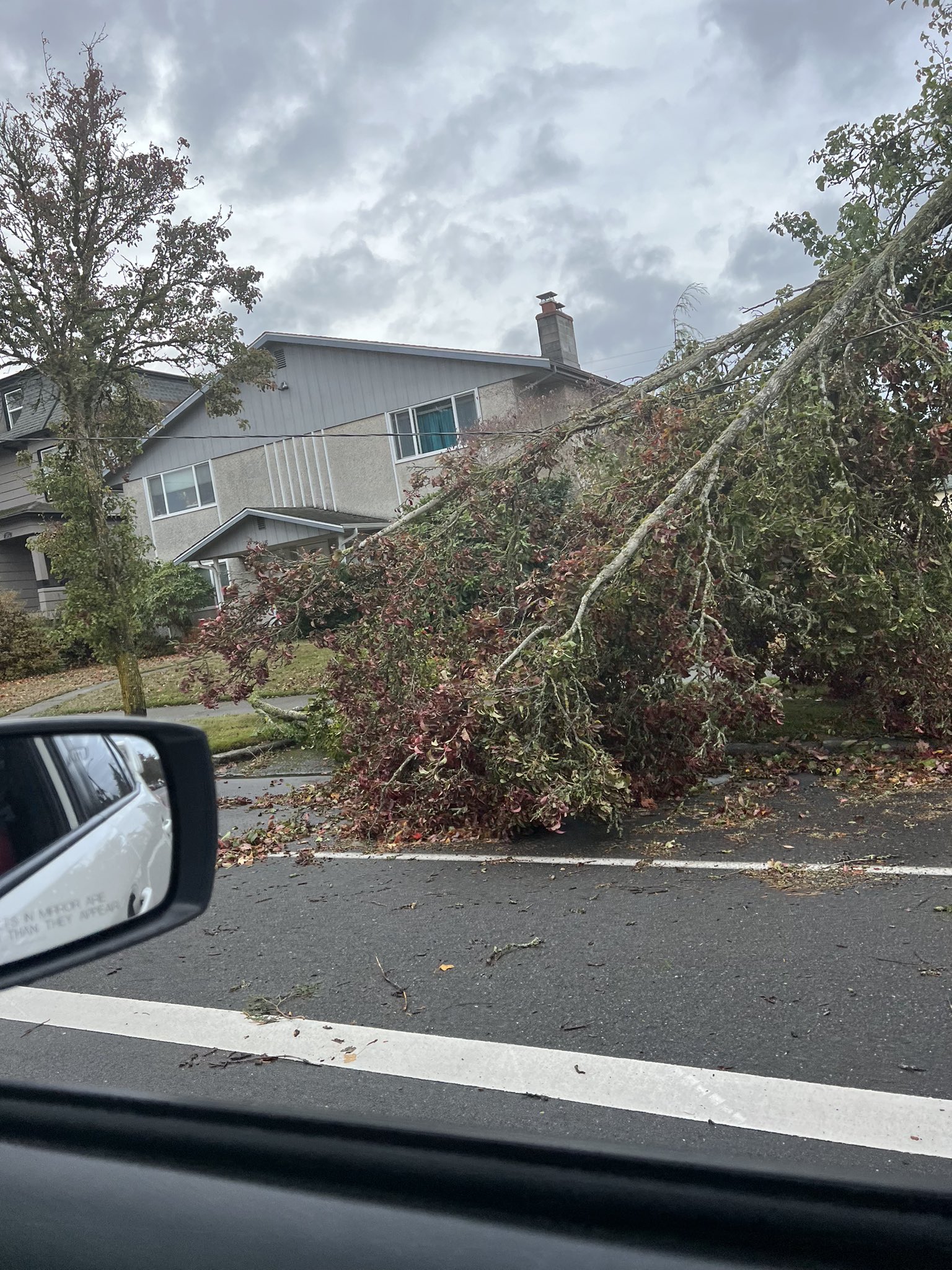 Power Outage In Snohomish