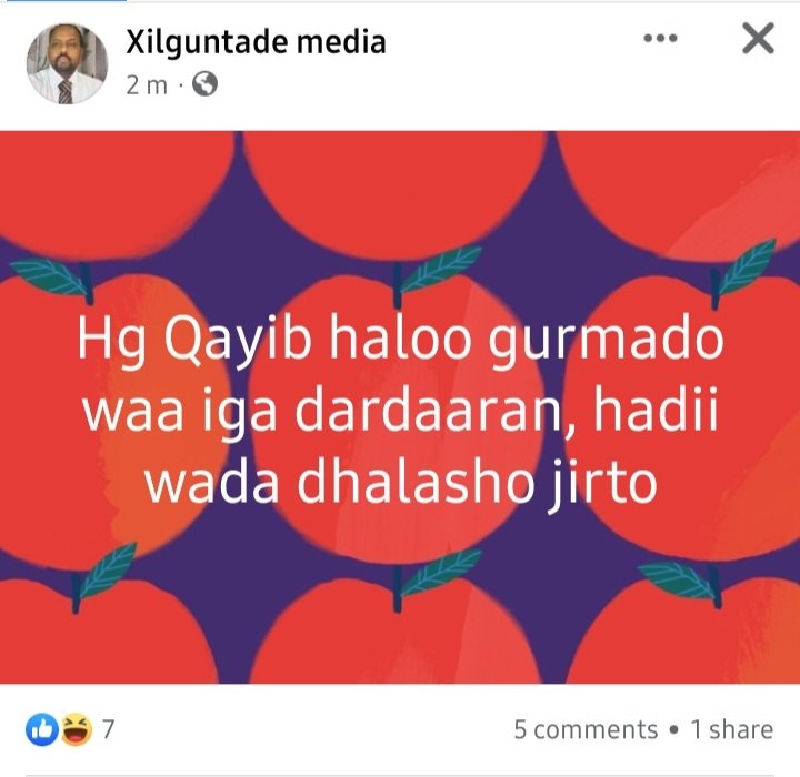 Cumar24's tweet image. Waab doobinayaa qoor weyne kkk saka maad doobineysaa !!

Mooryaanyahay mooryaantu dhashay 

Alx alx alx