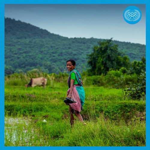 World_Chamber's tweet photo. As the world’s population grows – now projected to increase by two billion people by 2050 – smallholder farmers who are the primary food producers in developing countries must be supported efficiently for food production.
#SmallHolderFarmer is a key actor is achieving #SDG1 https://t.co/1xceWg3SCr