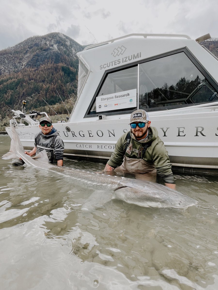 SturgeonSlayers's tweet photo. Some recent smiles.
#SturgeonSlayers #CatchRecordRelease #Fishing #Outdoors #ElectionDay https://t.co/pUhNVYebyg
