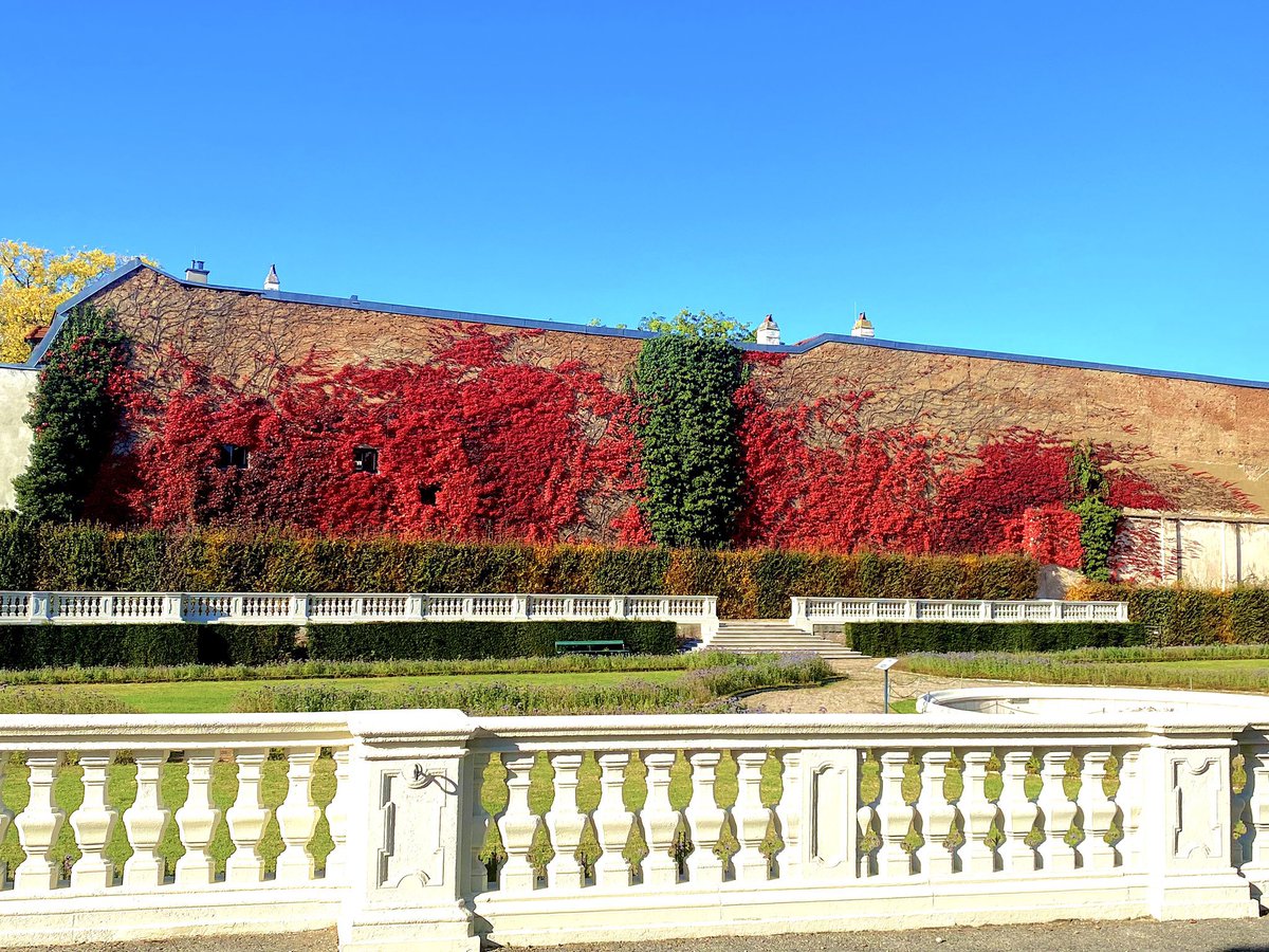 BenSostenuto's tweet photo. Good morning from Vienna 🎶☕️
I arrived back from our tour last night and am feeling quite jetlagged. Views of the Belvedere palace in the 3rd district near my place. It's very nice to be home! 🙂
#BackInVienna #OldVienna #BelvederPalace #AutumnInVienna #AsiaTour2022 #VPO https://t.co/soPdAkeTzi