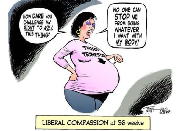 ky_statesman's tweet photo. Kentucky PLEASE vote YES on Amendment 2! #BabyLivesMatter #YesOn2 #Gearding4KY #TeamKentucky https://t.co/EPhc10Mjq0