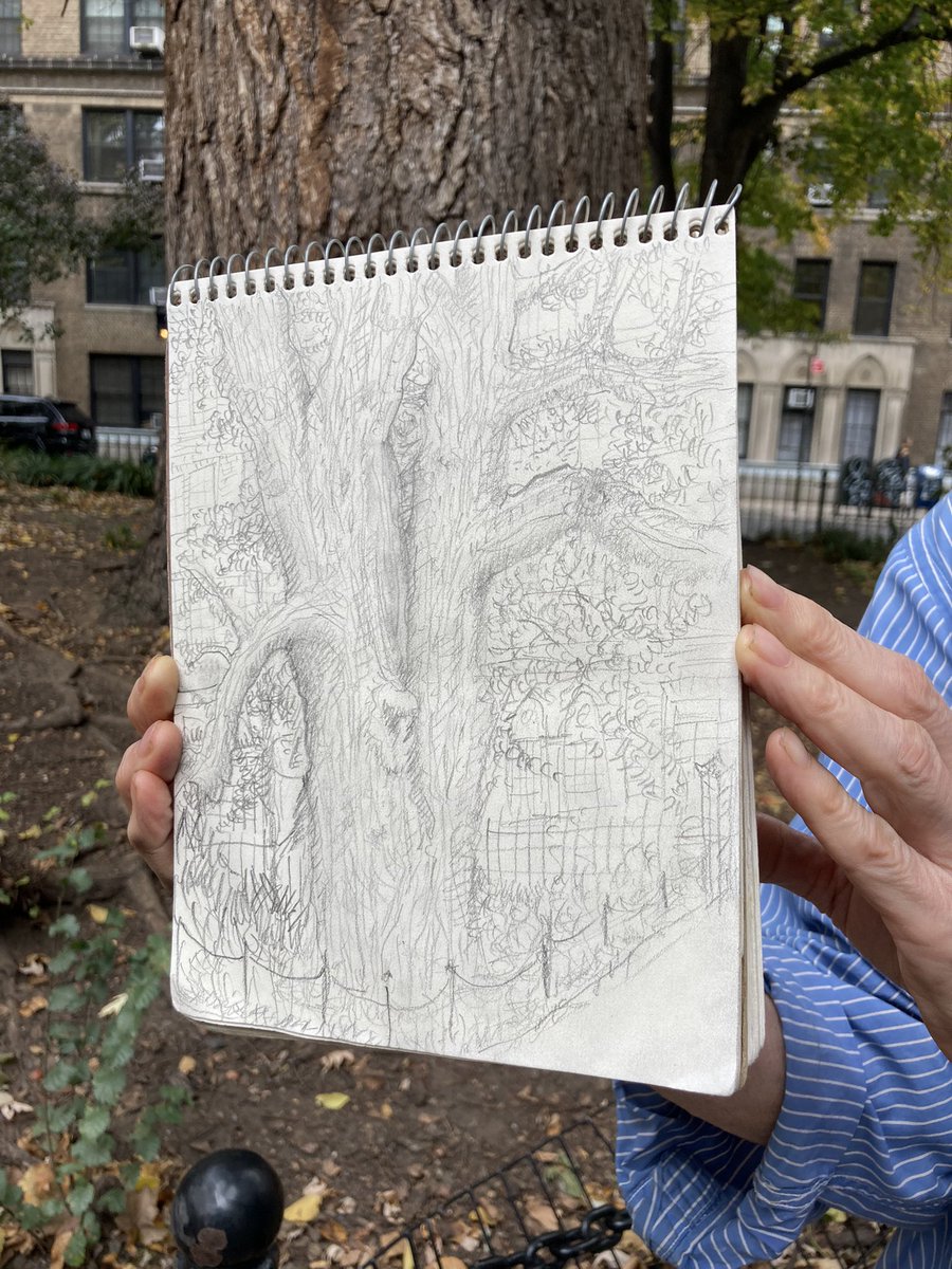WSPEcoProjects's tweet photo. #TreeWonderWSP on November 6, 2022 was another celebration of the park's English Elm. Making a place to draw the oldest tree in Manhattan brings people together. #WashingtonSquarePark #placemaking https://t.co/tFydgrodqu