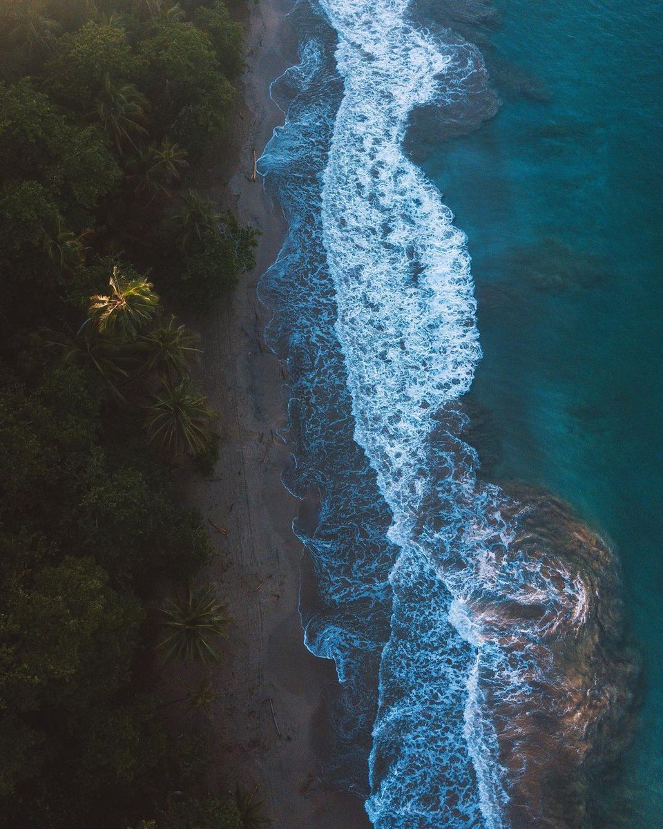 Where two worlds collide. 🍃🌊 Being one of the most biodiverse places on the planet, you never know what you'll find by land or by sea. 📍: Manzanillo, Limon, Costa Rica 📷 : ali.horne