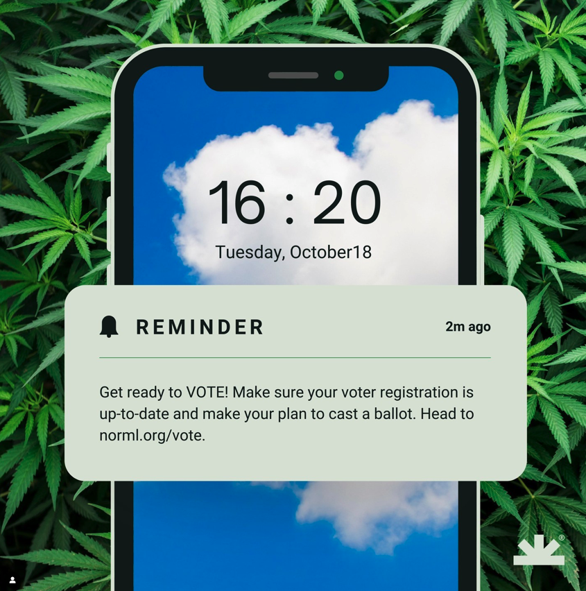 HERBissocial's tweet photo. Are you ready to #smokethevote tommorow 
⁠
vist  normal web page to find out about election in yoru area 
⁠
#NORML #legalizeamerica #cannabisnews #marijuanamovement #cannabiscommunity #cannabisculture #hightimes #medicalcannabis https://t.co/MWj9isRxq5