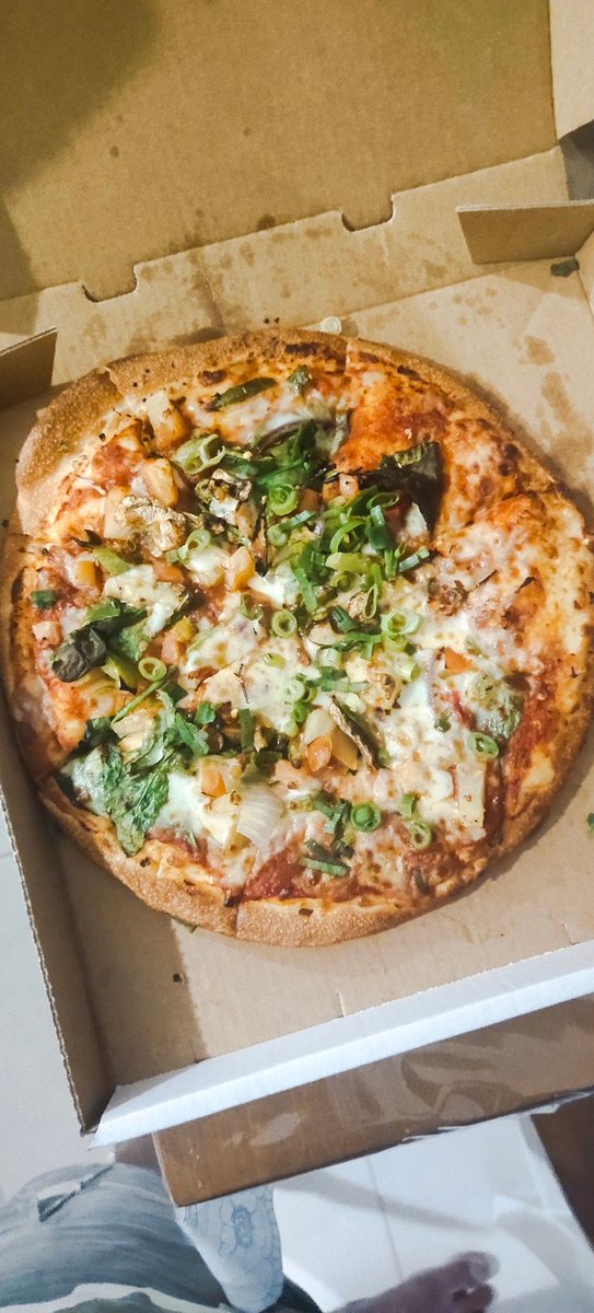 aryulu's tweet photo. @Dominos_AU this is how your pizza looks in real. Worst taste, irregular dough, improperly cut. Worst pizza store ever. Just threw the entire one in the bin. https://t.co/AWAQq8bCLI