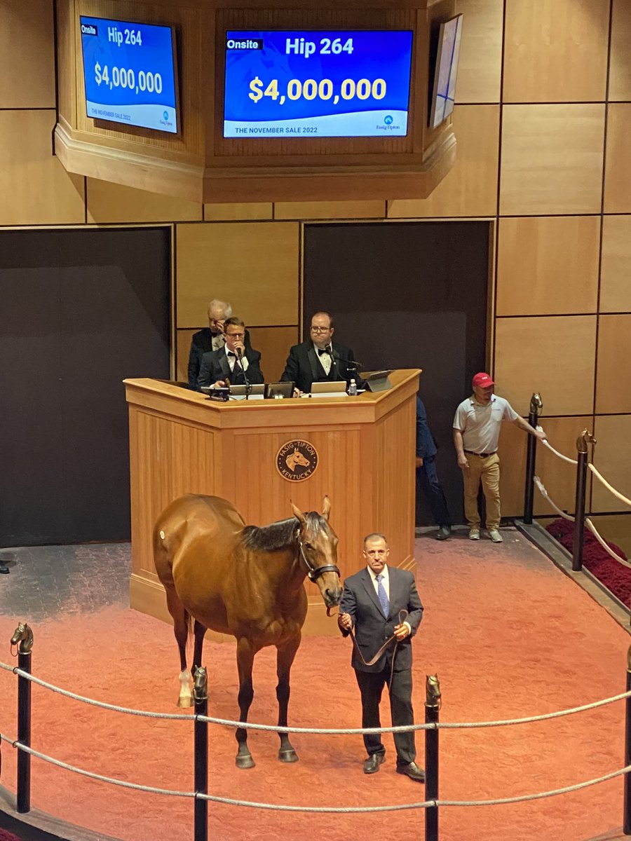 BH_CMcCroskey's tweet photo. After her first foal sold for $1.35M earlier in the day at the @FasigTiptonCo November Sale, #Bellafina in foal to #TiztheLaw went for $4M to MV Magnierโก๏ธconsigned as Hip 264 by @EatonSales1 https://t.co/OEgzoCHMeS