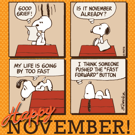 JoyNealKidney's tweet photo. #goodgrief #novemberalready #happynovember #lifeisgoingtoofast #fastforward https://t.co/NhCp2KShpL