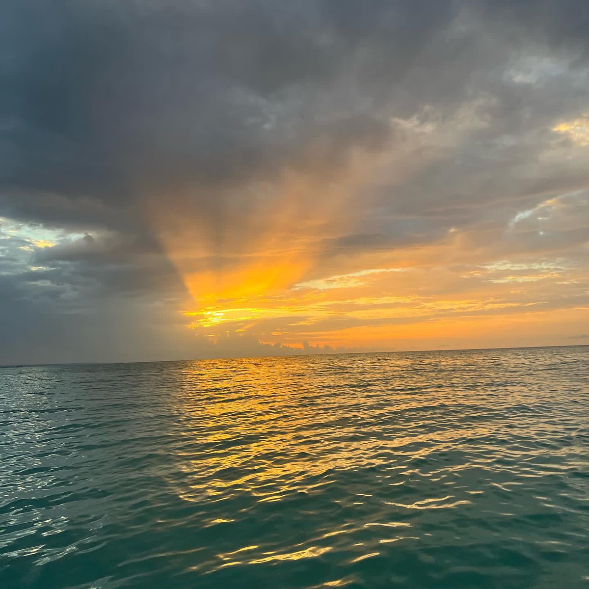 _SamuelLS's tweet image. 