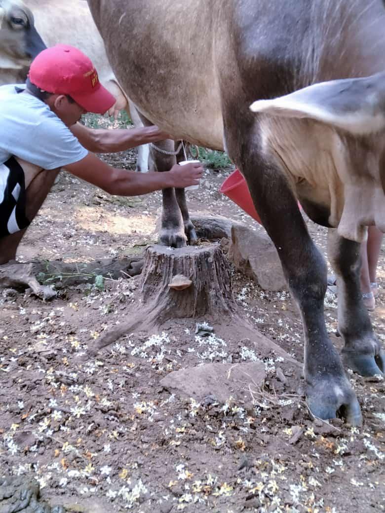 _SamuelLS's tweet image. 