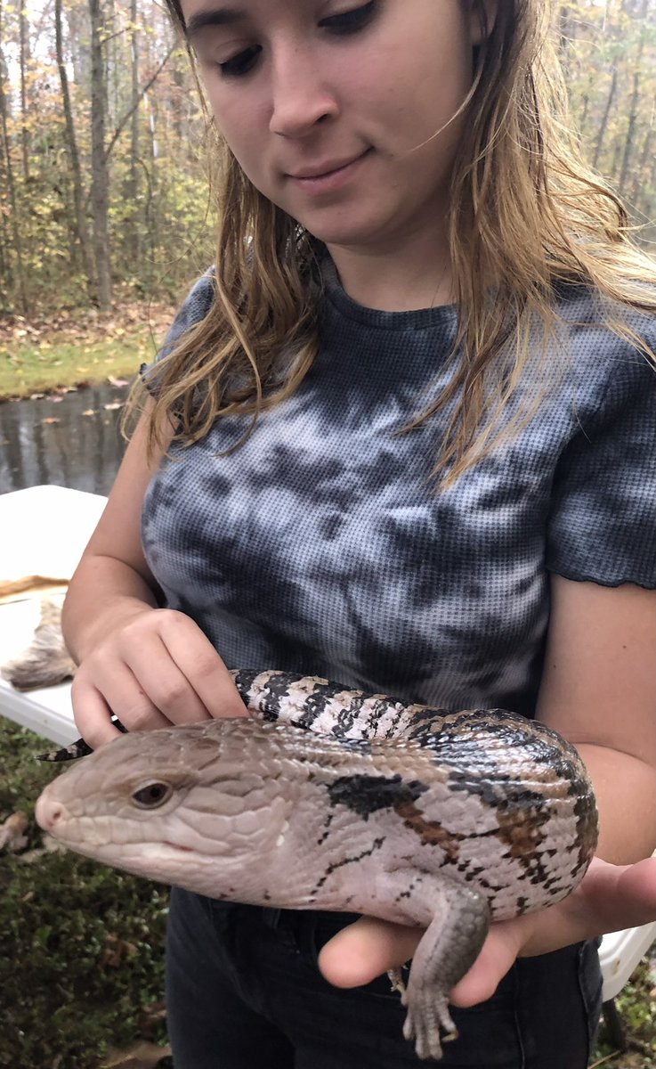 davidsonlands's tweet photo. NatureFest along the West Branch of Rocky River greenway in River Run. #naturefest #davidson https://t.co/i4DS9sGrbh