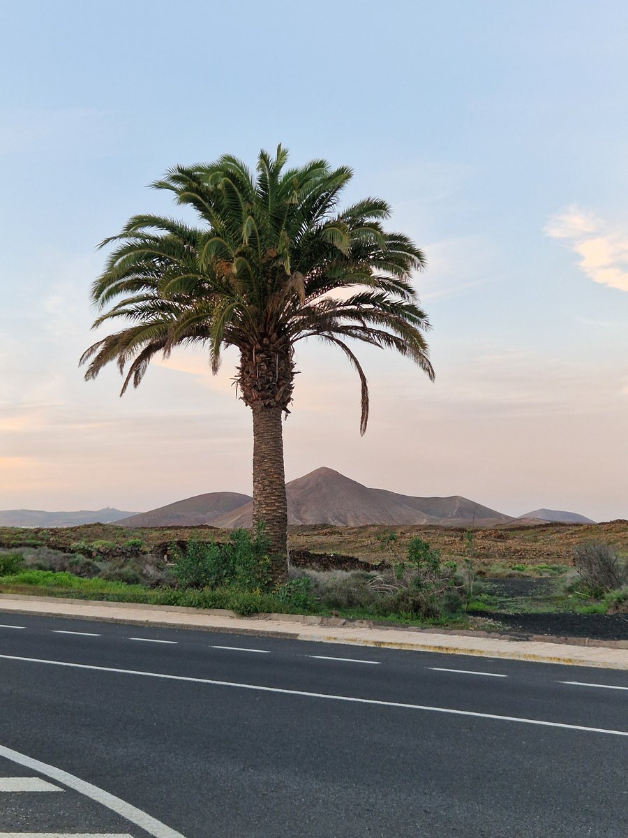 tomglover1989's tweet photo. Wonderful week away in stunning lanzarote costa teguise #Lanzarote #canaryislands #holiday https://t.co/xaQpUSNUtm