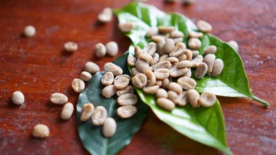 Robusta always in my heart
#robusta #arabica #coffee