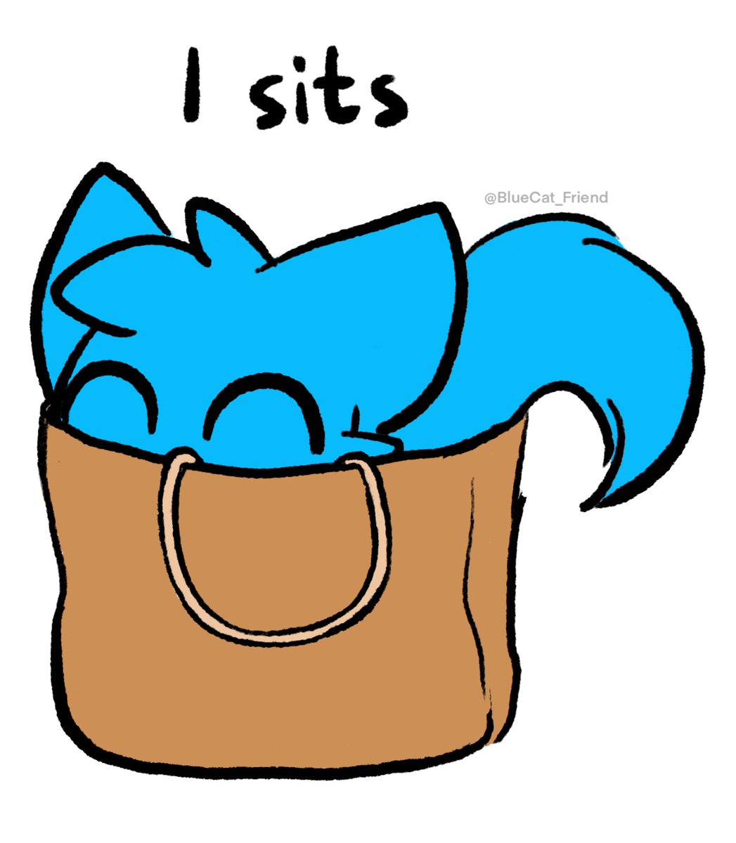Just A Blue Cat On Twitter cat Behavior just-a-blue-cat-on-twitter-cat-behavior