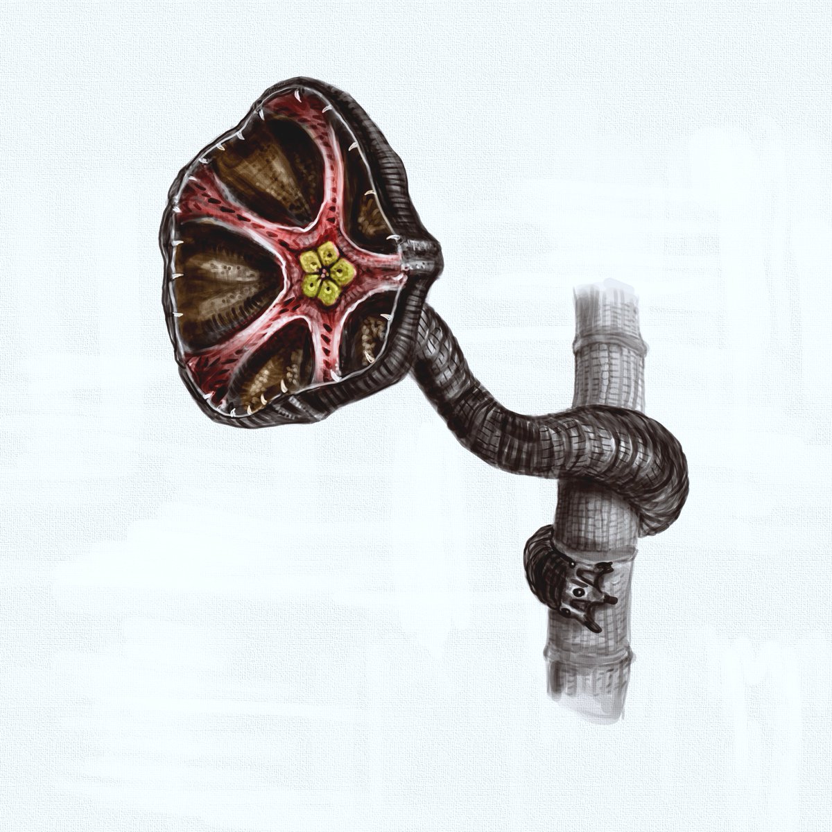 The gulper whake, an arboreal descendant of sea cucumbers from 540 million years in the future. They attract flying insects with their bright colours and a pungent odour.