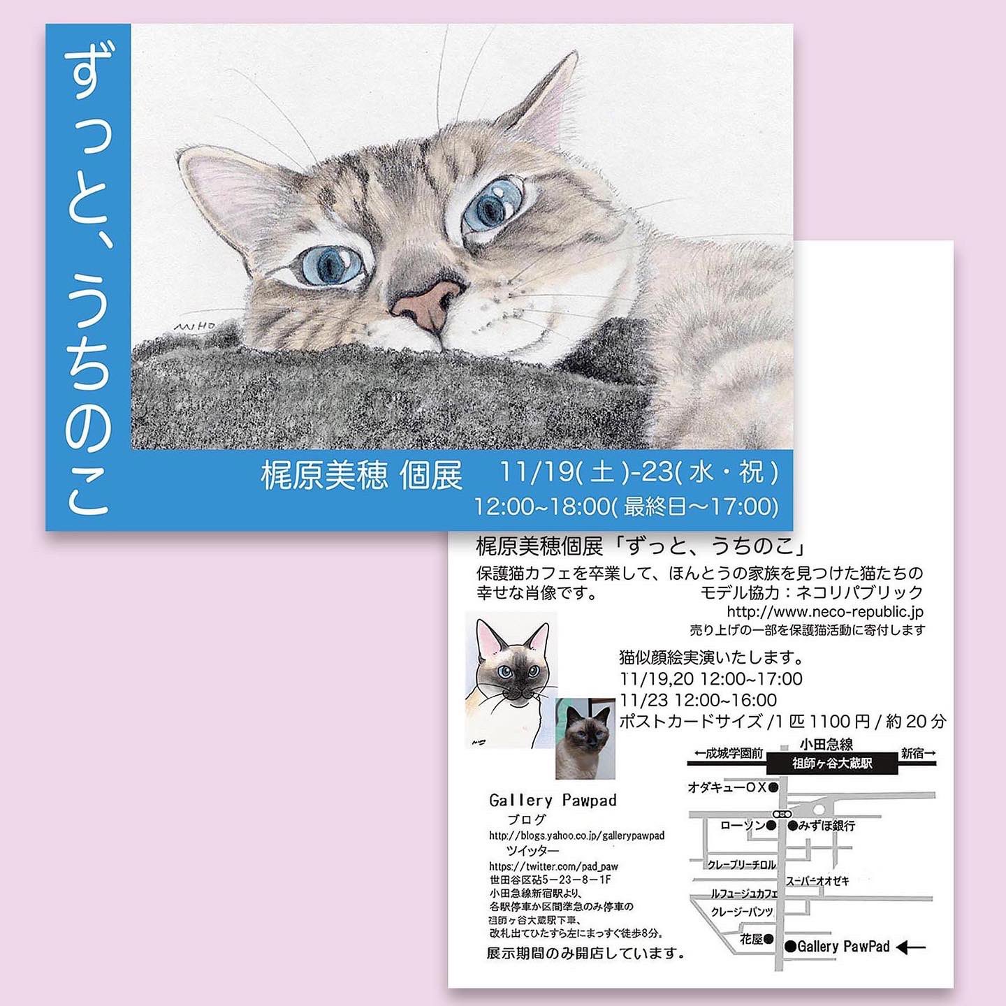 梶原美穂11 19 23個展ずっと うちのこ ギャラリーパウパッド Kajiyon Twitter