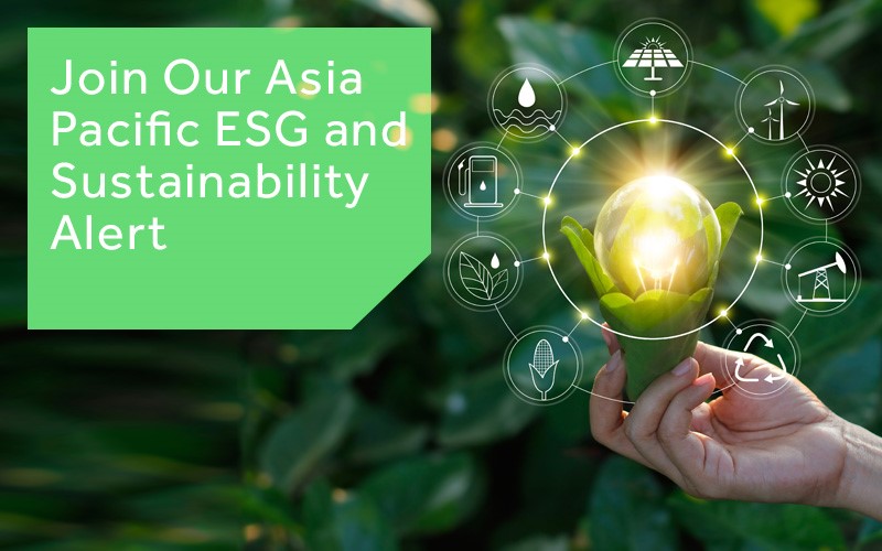 Sandpiper tweet media