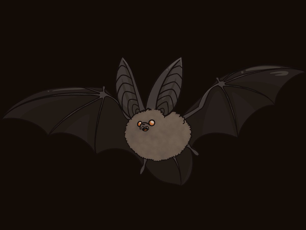 tayzerbeams's tweet photo. I frickin' love bats https://t.co/t9jf6Px1jz
