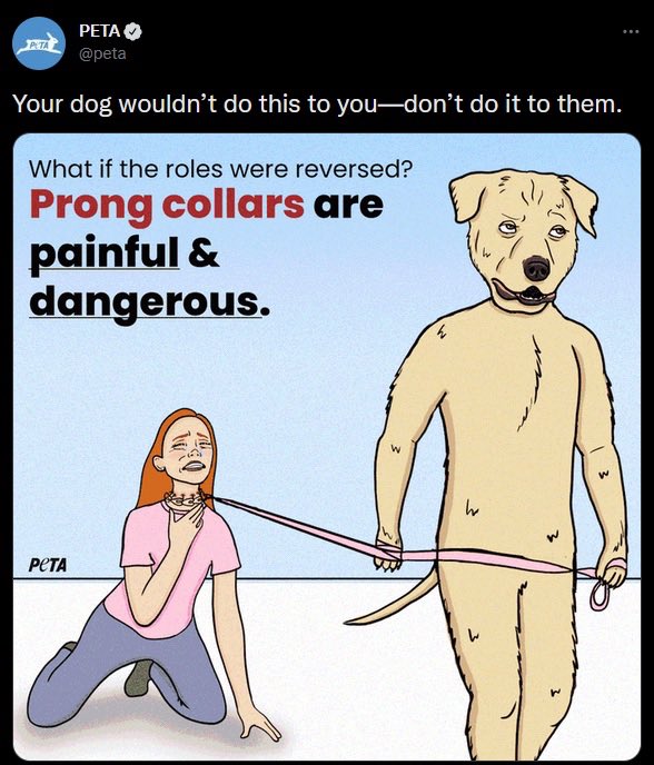 ShitpostGateway tweet media