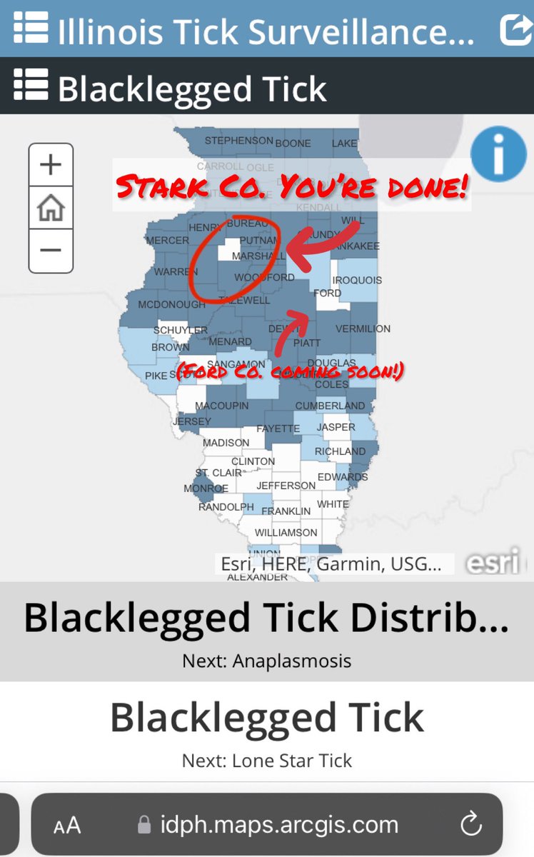 VectorCollector's tweet photo. Thanks to @jamie__mangan &amp; @LaurenRoseUrie on 11/02/22 the @INHSillinois Medical Entomology Lab Statewide Tick Surveillance Program *finally* established the blacklegged #tick in Stark Co.

Stark had eluded us since ‘19. WooT!

Interactive surv. maps at: 
https://t.co/k5RsoH0nuL https://t.co/RTGTLfGuhZ