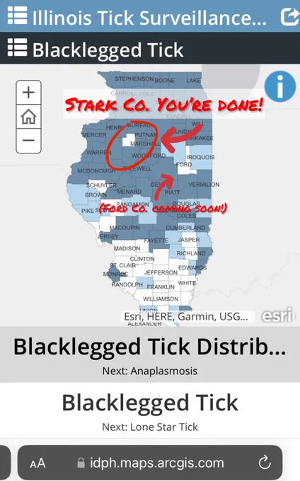 Map of blacklegged tick (species: Ixodes scapularis) status, by county, in Illinois with Stark Co. circled. Captions say “Stark Co. You’re Done” and “Ford Co. Coming Soon”
Interactive status maps for this tick species and others in Illinois accessible at URL:
https://go.illinois.edu/illinois-ticks