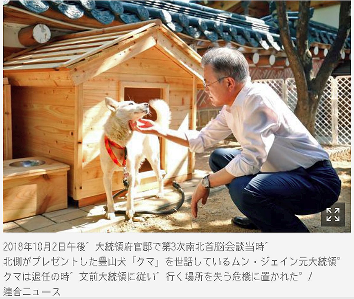 تويتر せきの りかず على تويتر 金正恩からのプレゼント犬 3匹 文前大統領が返却を通知 朝鮮日報 T Co Gpid9xn7 金正恩豊山犬 飼育支援を受けられないと離縁とは恥ずかしい行為では 中央日報 T Co Ow5waudijy 両紙とも 飼育費貰えない