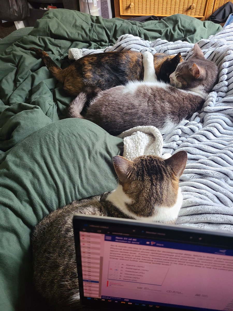 All snuggled in on a cozy fall day. I really love my lil sis 😻