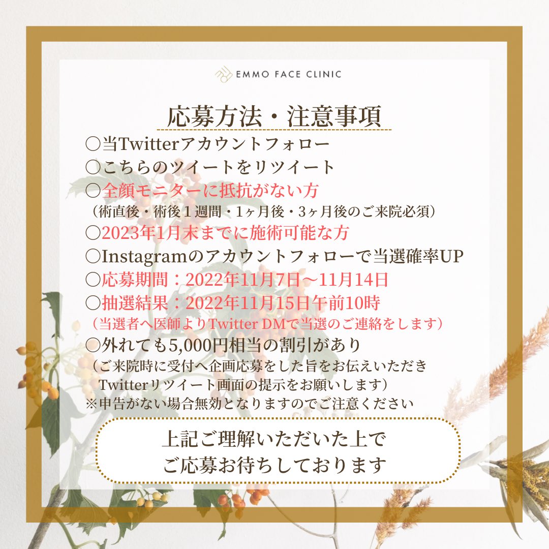 tenyuru's tweet photo. “フォローワー1万人”を記念して
100万円相当の施術をプレゼント‼︎

特別モニターを“4名様”募集します

【キャンペーン内容】
1等 プレミアム黄金比セット1名様
(40万円相当)
➡︎1万円(税込、麻酔代込)

2等 口元黄金比セット3名様
(18万円相当)
➡︎1万円(税込、麻酔代込)

続く➡︎ https://t.co/Gl405xGQhL