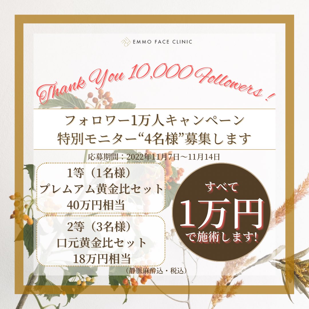 tenyuru's tweet photo. “フォローワー1万人”を記念して
100万円相当の施術をプレゼント‼︎

特別モニターを“4名様”募集します

【キャンペーン内容】
1等 プレミアム黄金比セット1名様
(40万円相当)
➡︎1万円(税込、麻酔代込)

2等 口元黄金比セット3名様
(18万円相当)
➡︎1万円(税込、麻酔代込)

続く➡︎ https://t.co/Gl405xGQhL