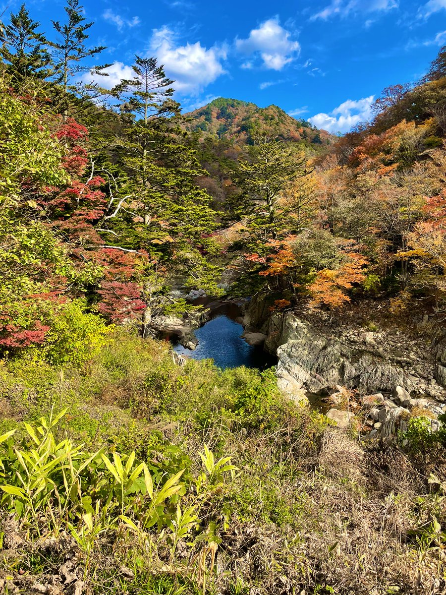 quick02828933's tweet photo. 今日は、夏井川渓谷に久々のツーリング😊❗️
紅葉綺麗だった🍁 https://t.co/2HbwfHsie1
