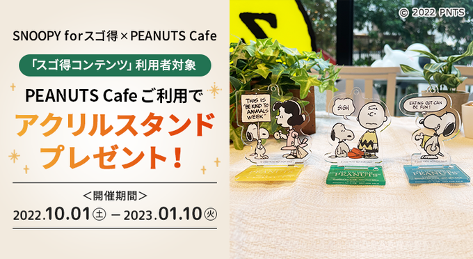 Snoopy Park スヌーピー パーク