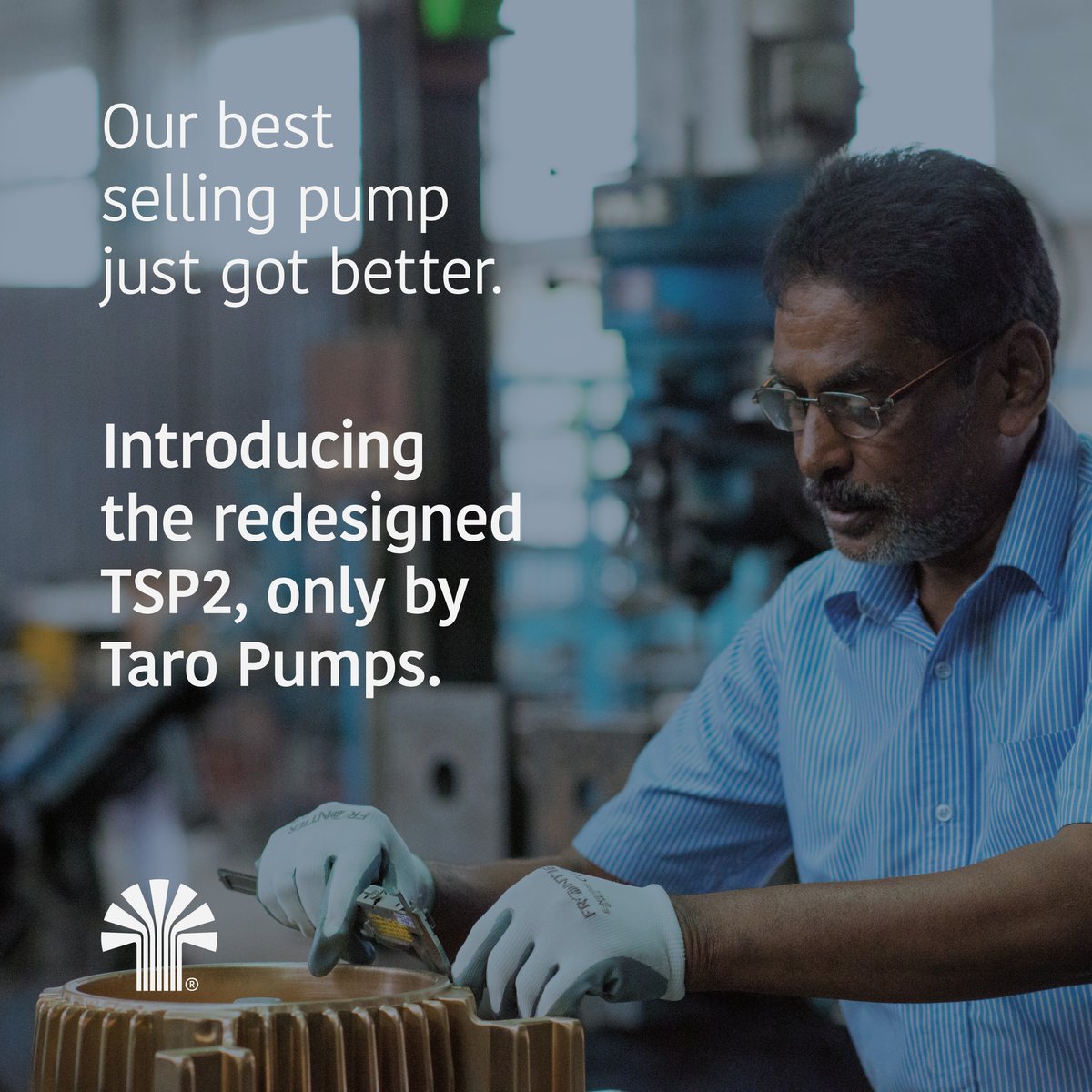 TaroForLife's tweet photo. #taropumps #tarodealer #texmoindustries #taroforlife #monoblockpump https://t.co/xVk5mALfb3
