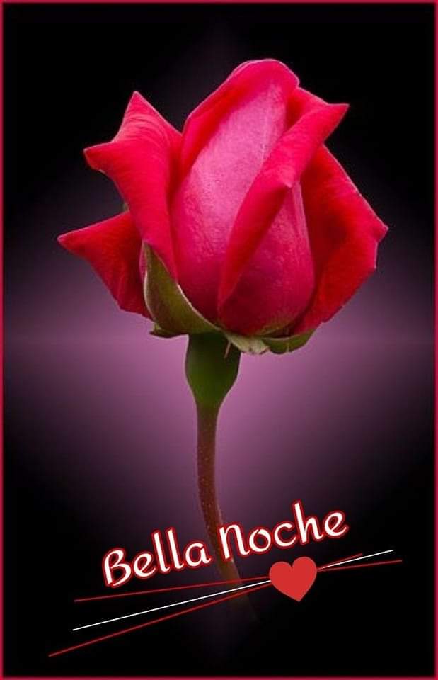 Hola buenas noches!! Chicas hasta mañana que descansen.😴😴😴