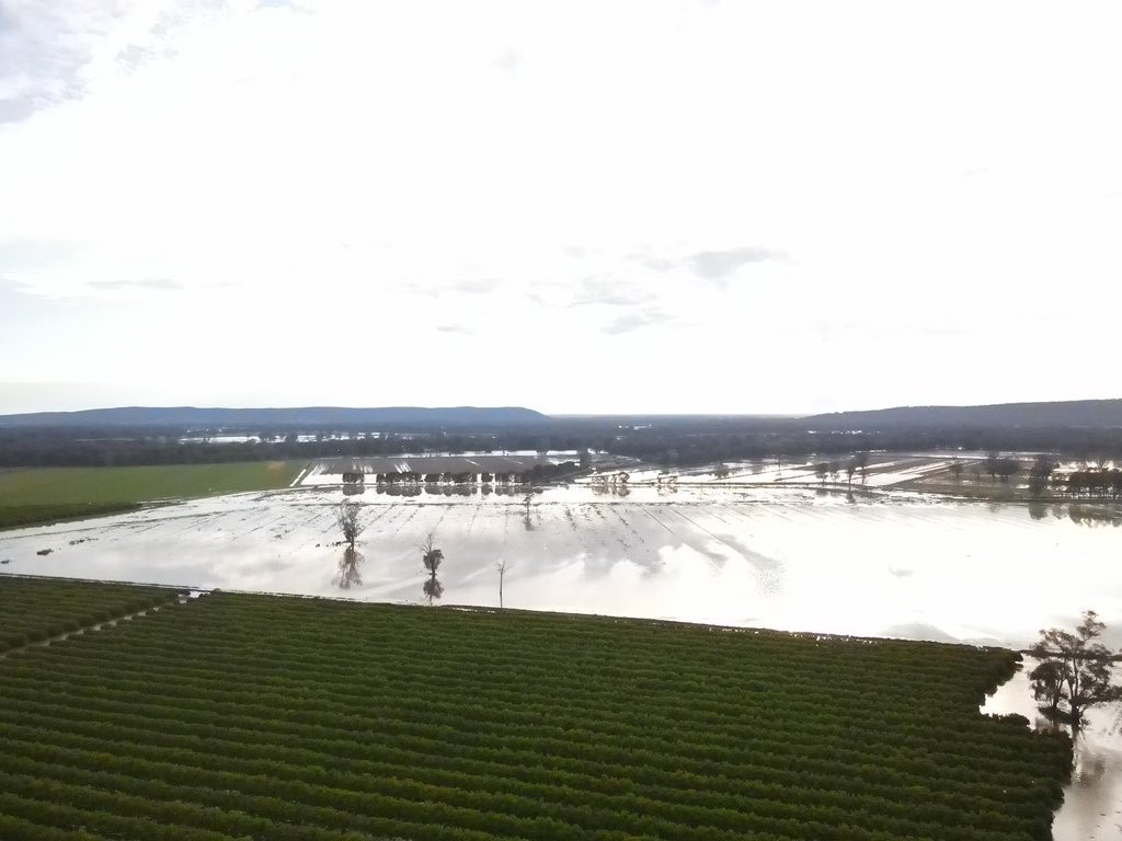 tim_downie's tweet photo. Hey @AlboMP if you didn’t cut the dam funding for the wyangala dam project my place might not look this bad we are being treated like second class citizens out here in the bush where you food comes from @The_Nationals @D_LittleproudMP @senbmckenzie @tanya_plibersek @Warwick_Long https://t.co/sw0iC8H2bm