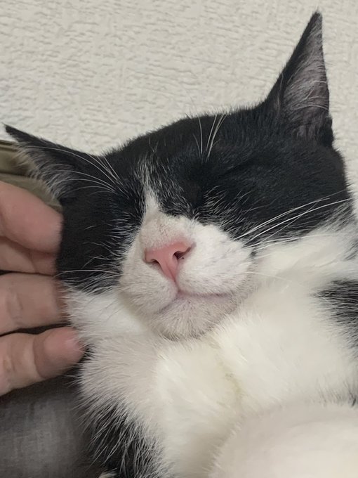 おはようございます😇 