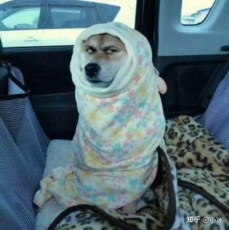 RussianPaladin's tweet photo. MFW you don't swing by and say hello
https://t.co/cW0DRhDnG9 
#twitch #streaming #mw2 https://t.co/Sx5X7GnoVY