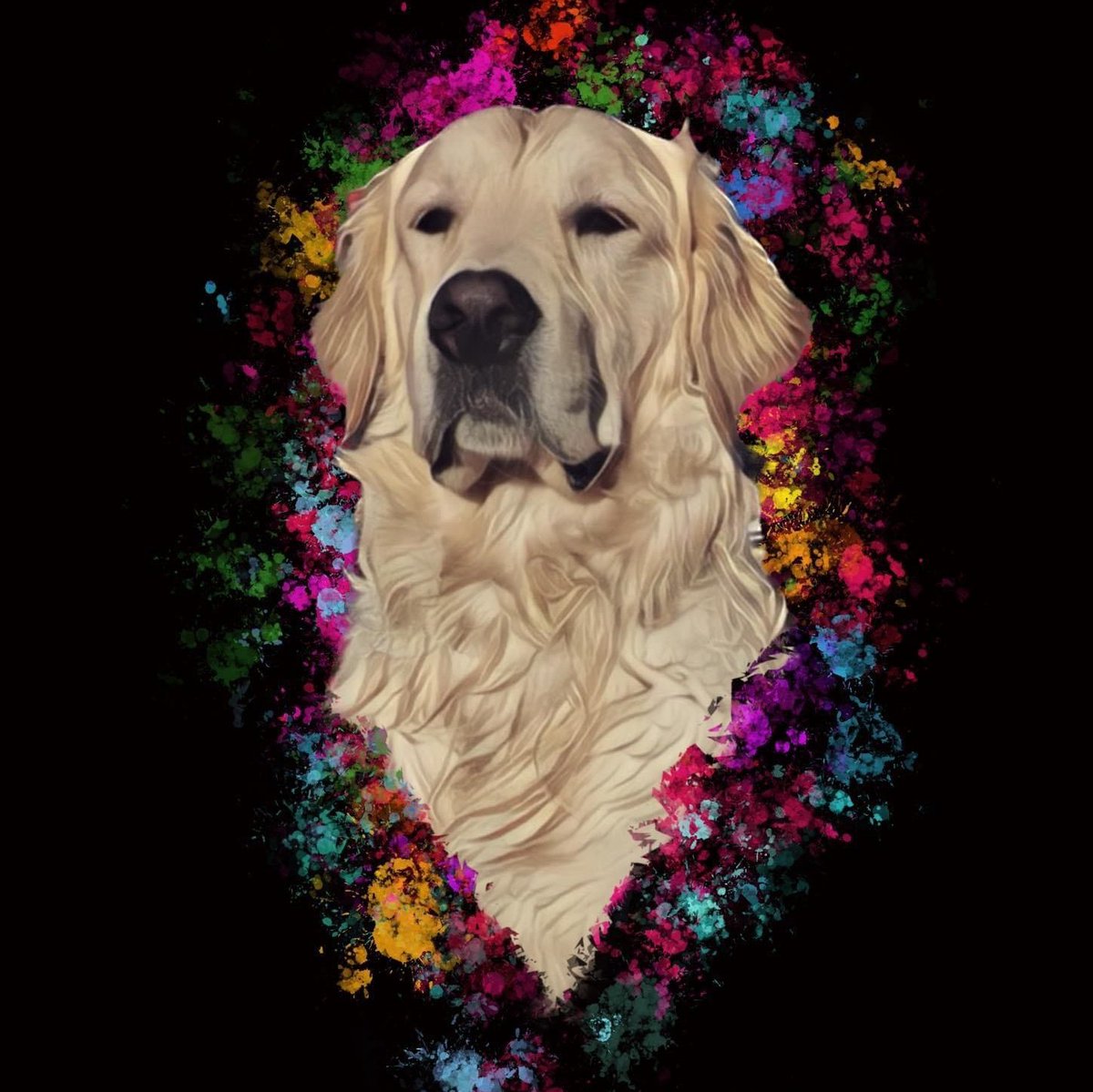 ColorfulPawz's tweet photo. #dogs #DogsofTwittter #DogsOnTwitter #dogs_Lovers #dogstyle #dogstagram #dogsarefamily #dogsarelove #DogsLovers #dogslife #Dog #DogLover https://t.co/uEYkMDDujz