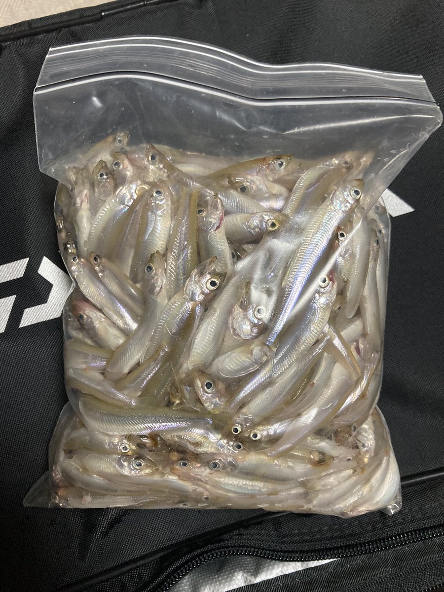 KAGELOU4's tweet photo. お昼を食べないで頑張ろうかなって思ったりしたけど...

食べました😅 https://t.co/JZXmjXNvYR