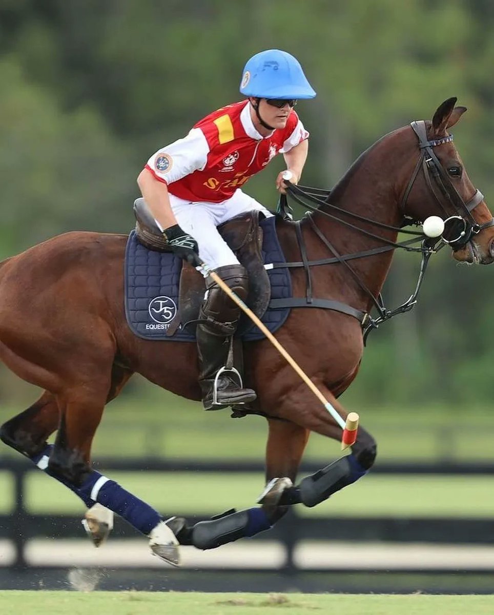 SantaMariaPoloC's tweet photo. ¡¡La selección española 🇪🇸 de polo campeona del Xl Campeonato del
Mundo de Polo!! 

Los jugadores Nicolás Álvarez, Luis Domecq, Nicolás Ruiz Guiñazú y Pelayo Berazadi consiguieron imponerse frente a Estados Unidos 11 a 10 goles.
¡¡ Impresionante gesta, enhorabuena a todos 🏆!! https://t.co/3SGaYt4hug