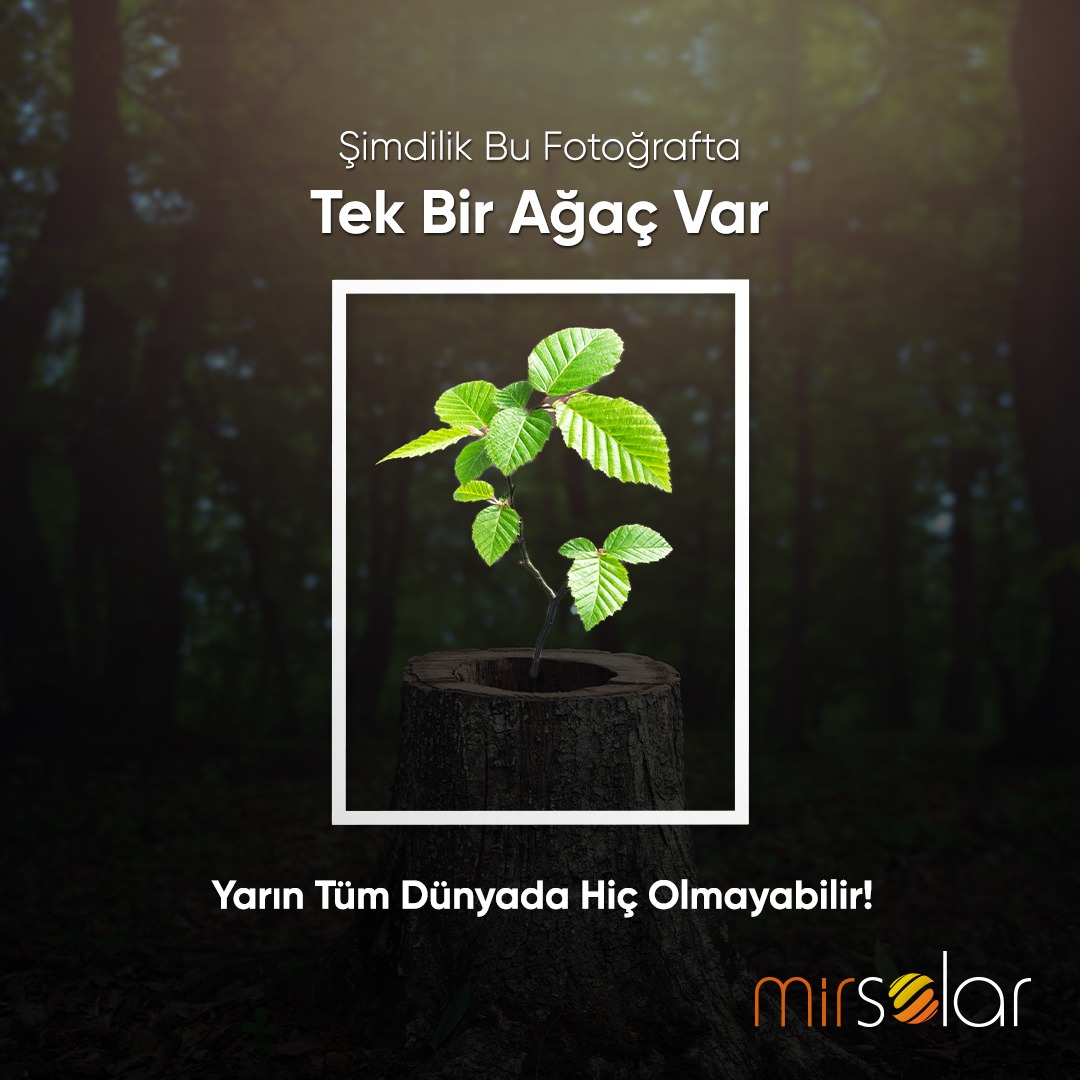 Mirsolar olarak güneş enerjisi sistemlerimiz ile 242250000 adet ağacın kurtarıldığını biliyor muydunuz?

#mirsolar #panel #solarenergy #yeşilenerji #greenenergy #sürdürülebiliryaşam #renewableenergy #güneşenerjisi #güneşenerjisisistemleri #enerji #enerjitasarrufu