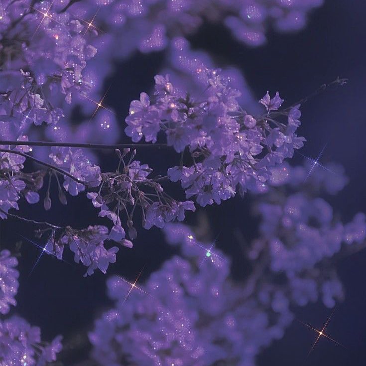 yeonismiles's tweet image. 어디로 가야 보일까 ࿐ ˚ . ✦