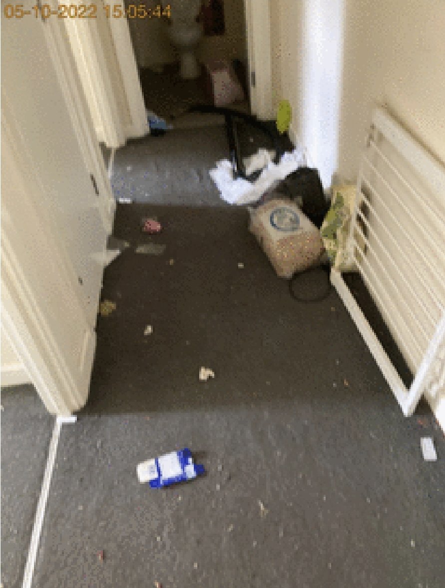 Barton_Direct's tweet photo. Daily the @Barton_Direct team transform properties for families to start new lives together. https://t.co/VIYCXUyvmL
