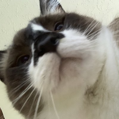 shalyssanator's tweet photo. #NewProfilePic https://t.co/fowOWXZZoP