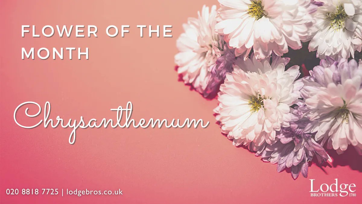 Lodge Brothers tweet media