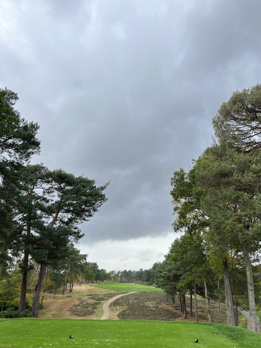 Katy Hall tweet media