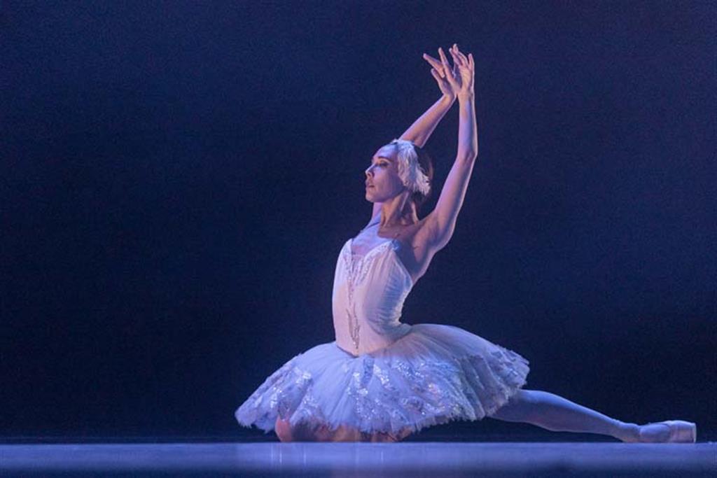 Escuela Nacional de Ballet Fernando Alonso on Twitter Escuela Nacional de Ballet Fernando Alonso on Twitter
